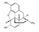 Molecule.51.jpg