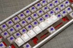 Purple Zealios V2 Switches (Tactile).jpg