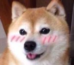 nyaaa doge.jpg