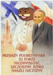Polish Finnish friendship is peace, independence, a happy t[...].jpg