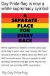 gay-pride-flag-is-now-a-white-supremacy-symbol-separate-483[...].png