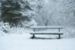 bench.jpg