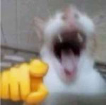 Image 154.png