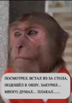 VID20250710094520780.mp4