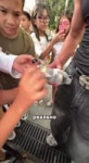 ! Двач @dvachannel @rand2ch @ru2ch321.mp4