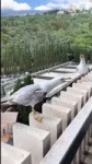 makenewser feed 2025-07-10 18.55 DL7tzooUBy11 AQPgbGboRyScmMFcIhaKLdYWHTju5D5MS94237F77OSy421yq-XbppT91o3wHi-tLdlOTPGYXGMAts0vgFZu9FAJwszsHVCQ8sbPSTI.mp4