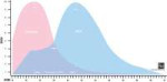 Male and Female Attractiveness Over Time.jpg