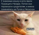 IMG20250512123247574.jpg
