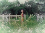 VID20250713112342701.webm