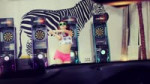Girls Day - Darling.webm
