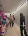 suCXNuyxjqJN9ro7.mp4