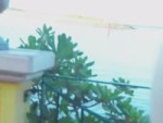 weverse1-1669634.mp4