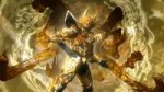 Garo-GoldStorm-1[1].jpg