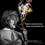 albert-einstein-marijuana-quote.jpg