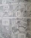 One-Piece-Spoiler-9581.jpg
