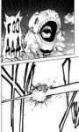 bleach-vol05-ch037-02.png