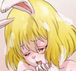 2921400 - Carrot Ginko(artist) OnePiece.jpg