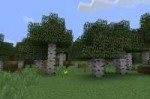 Birch forest biome.png