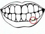 coloring-pages-of-smiley-teeth-whitening-for-kids-300x225.gif