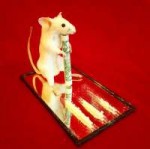 Coke-Mouse-Taxidermy.jpg