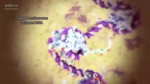 DNA animations by wehi.tv for science-art exhibition5.mp4