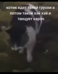 17280574166553.mp4
