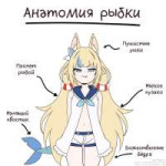 1751401880076.png