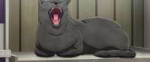 vlcsnap-2025-08-03-03h04m41s044.jpg