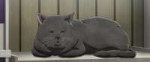 vlcsnap-2025-08-03-03h04m48s340.jpg