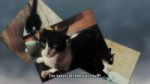 vlcsnap-2025-08-03-23h50m23s229.jpg
