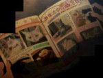 vlcsnap-2025-08-04-01h22m13s180stitch.jpg