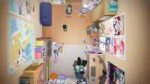 vlcsnap-2025-08-09-03h34m20s716.jpg