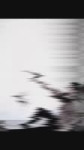 17749359281322063813 (1).mp4
