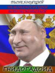 гнидоид.jpg