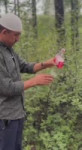17654756576971.mp4
