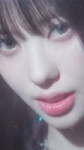 Koko (1).webm