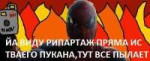 .jpg