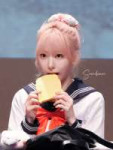 Sakura (15).jpg