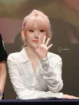Sakura (19).jpg