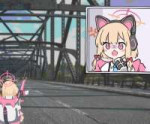 .jpg