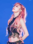 Sakura (350).jpg