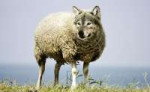 wolf-in-sheeps-clothing-25778131280.jpg