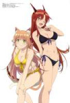 yande.re 1032790 animalears bikini horns kanade(beasttamer) nekomimi swimsuits tail tania(beasttamer) yamamotoshuuhei.jpg