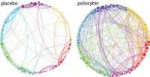 brain-networks (1).jpg