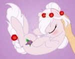 my-little-pony-фэндомы-mlp-gif-mlp-OC-1199540.gif