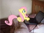 fluttershyonmylaptopfirststorybyjetrixwol.jpg