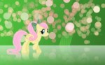 fluttershywaponytailbyvexx3-d5187u0.jpg