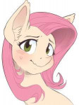 1882079safeartist-colon-kalthedestroyerfluttershyfemalepony[...].jpeg