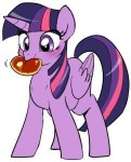 Twilight-Sparkle-mane-6-my-little-pony-фэндомы-3643712.png