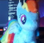 1821965saferainbow+dash4deirlphotoplushietoy.png